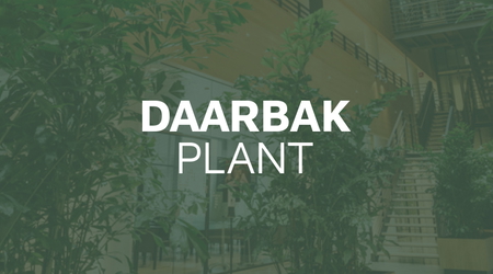 Grøn indretning og planteservice